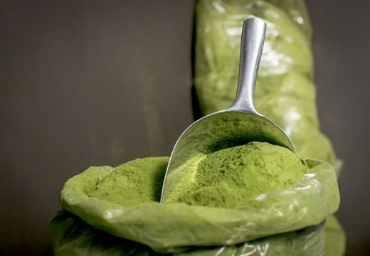 Fresh moringa leaf powder