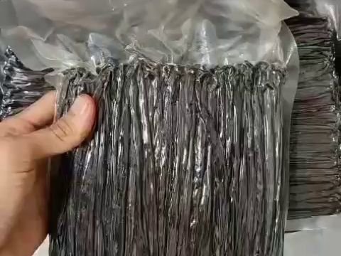 Grading a bundle of Indonesian vanilla beans by hand