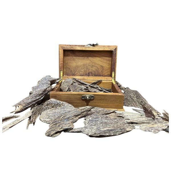 Buying Agarwood from Kalimantan and Sumatra